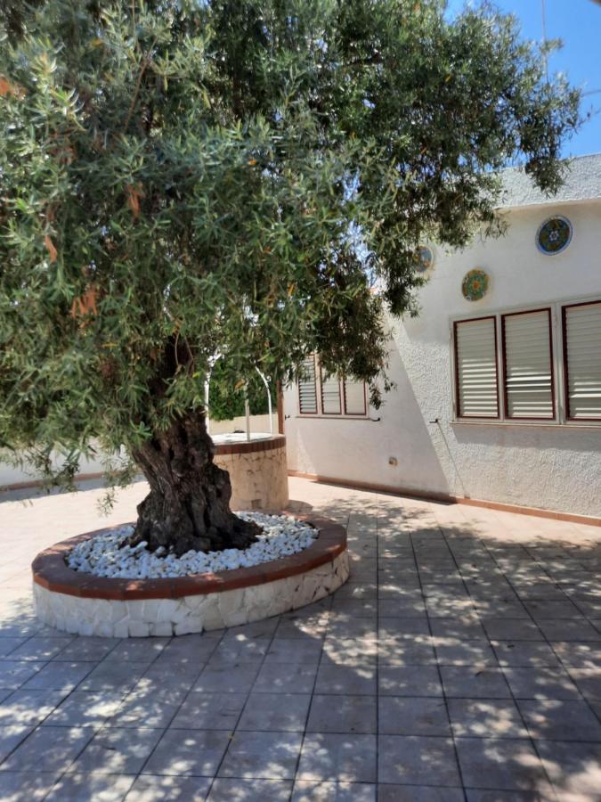 Villa Nina Фонтане Бианче Екстериор снимка